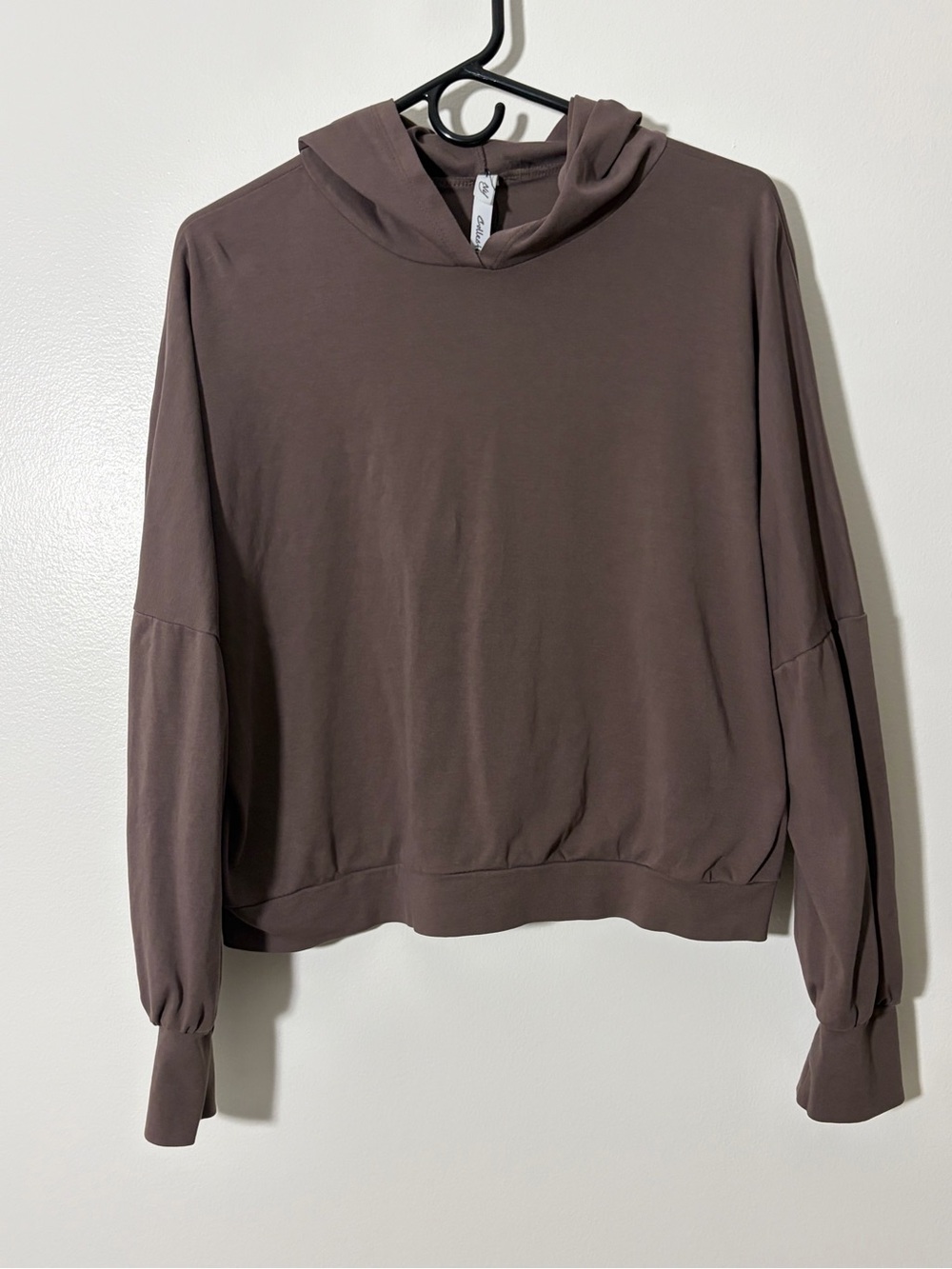 NY Collection Brown Hooded Long Sleeve Pullover